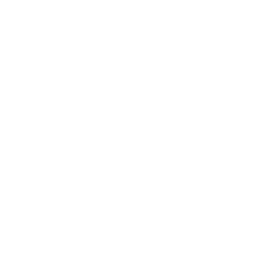 Ankama Animations